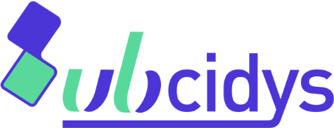 Subcidys